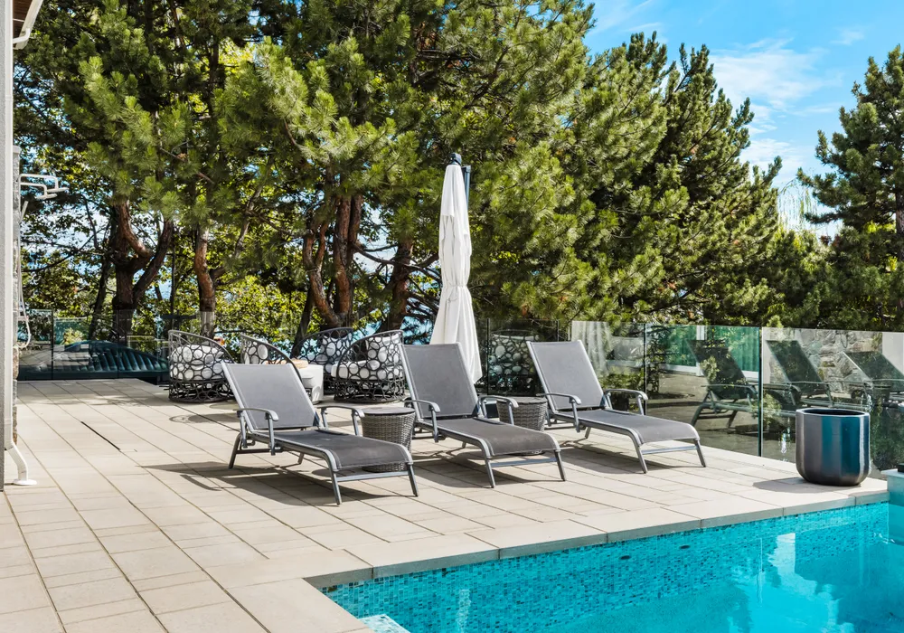 chairs and flooring with trees