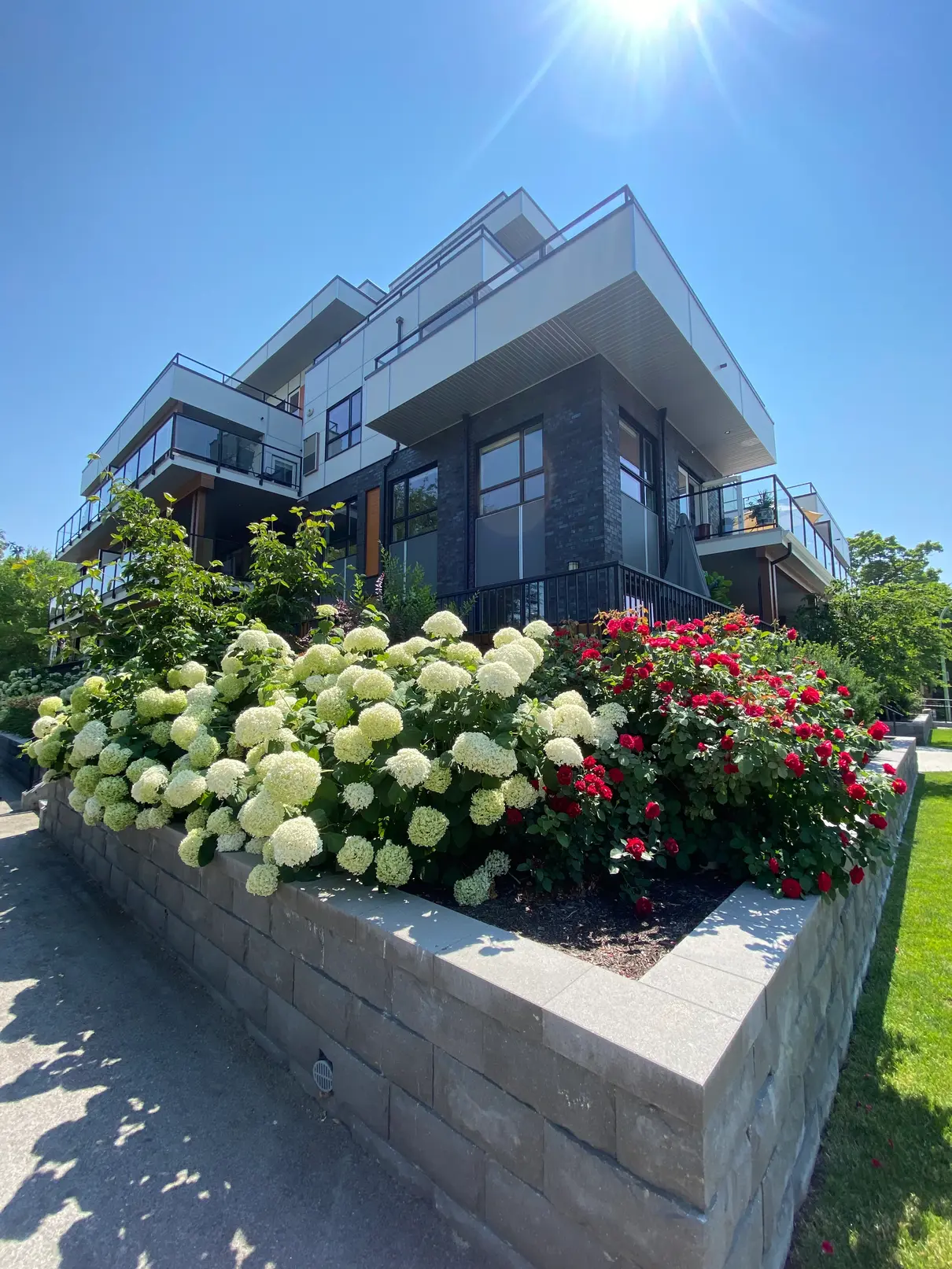 Lush garden with a modern home and retaining wall with a green landscape